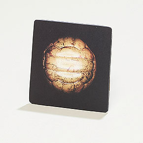 Notizmagnet Fußball 